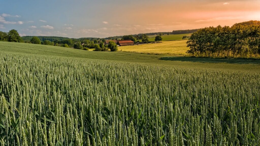 Top 10 fietsroutes Limburg Top 10 fietsroutes Limburg