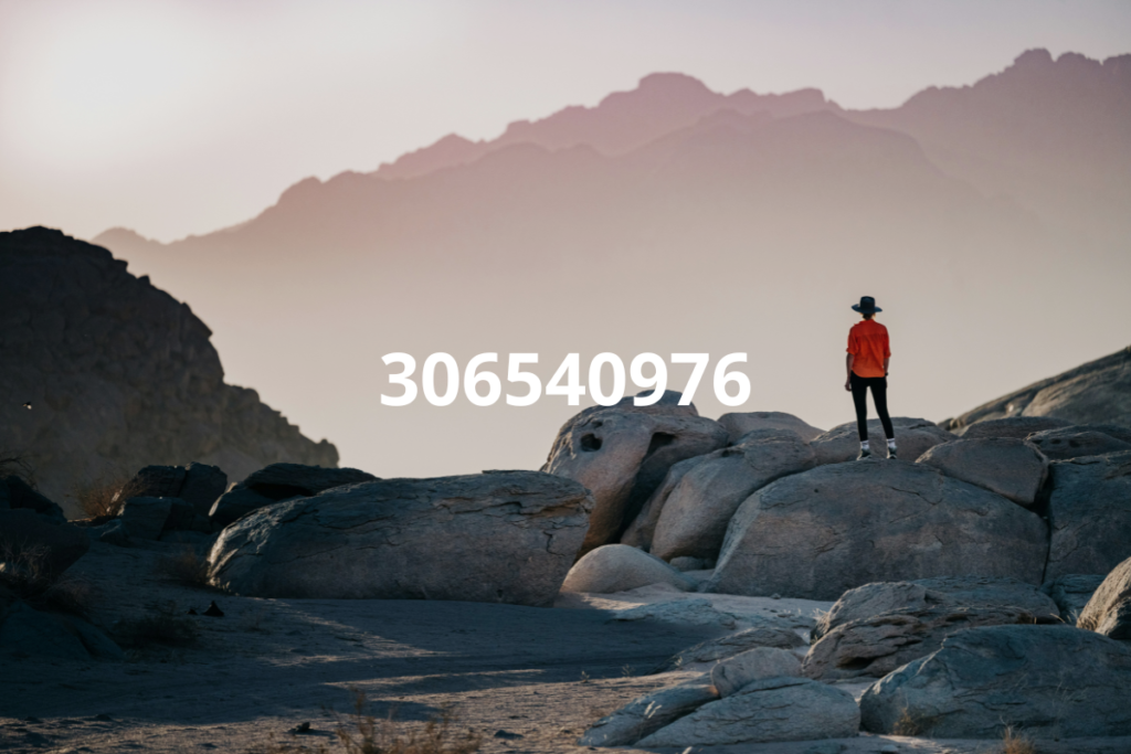 306540976